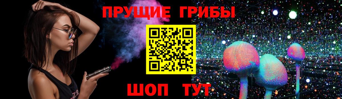 Ачхой-Мартан  Псилоцибиновые грибы мицелий  Вход с VPN 